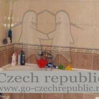 Flat Czechia, Karlovy Vary Region, Karlovy Vary, 52 sq.m.