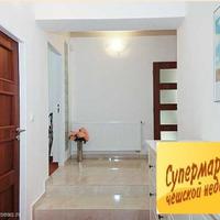 House Czechia, Karlovy Vary Region, Karlovy Vary, 250 sq.m.