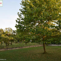 Дом в Чехии, Карловарский край, Карловы Вары, 180 кв.м.