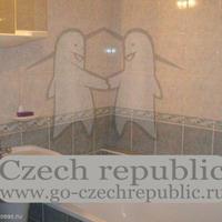 Flat Czechia, Ustecky region, Teplice, 25 sq.m.