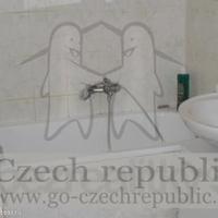 Flat Czechia, Karlovy Vary Region, Karlovy Vary, 57 sq.m.