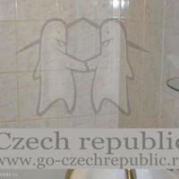 Flat Czechia, Karlovy Vary Region, Karlovy Vary, 83 sq.m.