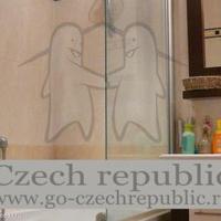 Flat Czechia, Ustecky region, Teplice, 85 sq.m.