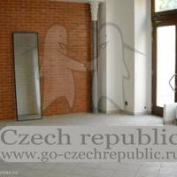 Другая коммерческая недвижимость в Чехии, Устецкий край, Теплице, 121 кв.м.