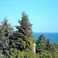 Flat in Bulgaria, Varna region, Elenite, 50 sq.m.