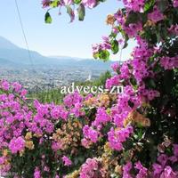 Дом в Черногории, Котор, 140 кв.м.