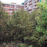 Квартира в Испании, Каталония, Барселона, 75 кв.м.