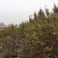 Квартира в Испании, Каталония, Барселона, 75 кв.м.