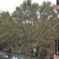 Квартира в Испании, Каталония, Барселона, 75 кв.м.