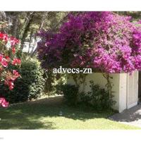 Villa in Spain, Catalunya, Barcelona, 260 sq.m.