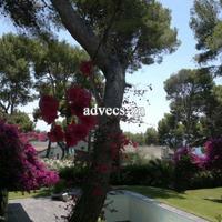 Villa in Spain, Catalunya, Barcelona, 260 sq.m.