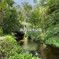 Дом в США, Миссури, 408 кв.м.