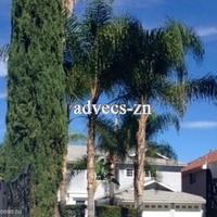 House in the USA, Maryland, California, 290 sq.m.