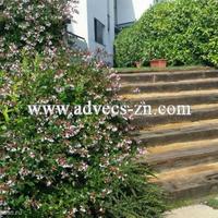 Апартаменты в Испании, Каталония, Жирона