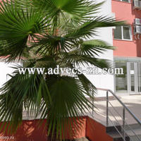 Квартира в центре города в Турции, 55 кв.м.