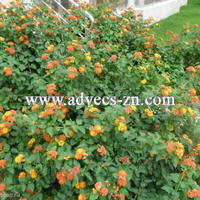 Апартаменты на второй линии моря/озера, в центре города в Турции, 80 кв.м.