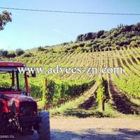 Production in Italy, Toscana, Pienza