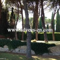 Production in Italy, Toscana, Pienza