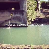 Production in Italy, Toscana, Pienza