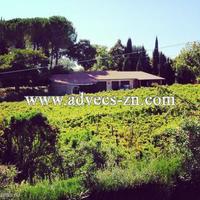 Production in Italy, Toscana, Pienza