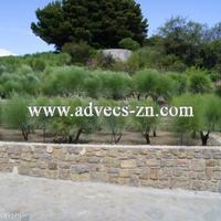 Villa in Italy, Ventimiglia, 350 sq.m.