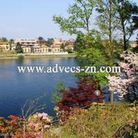 Villa at the first line of the sea / lake in Italy, Lombardia, Varese, 600 sq.m.