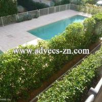 Flat in Guyane, 78 sq.m.