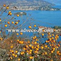 Апартаменты в Италии, Варезе, 65 кв.м.