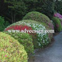 Апартаменты в Италии, Варезе, 52 кв.м.