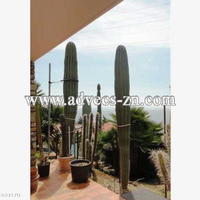 Villa in Italy, Ventimiglia, 250 sq.m.