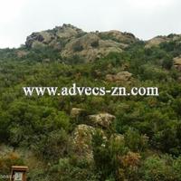 Земельный участок в Испании, Каталония, Жирона