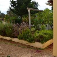 Вилла в Португалии, Албуфейра