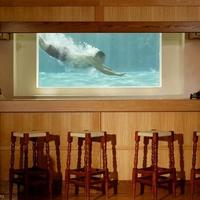 Вилла в Португалии, Албуфейра