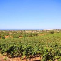 Other in Portugal, Albufeira