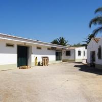 Other in Portugal, Albufeira