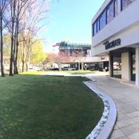 Other commercial property in Portugal, Albufeira