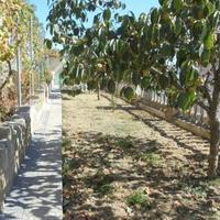 Вилла в Португалии, Албуфейра