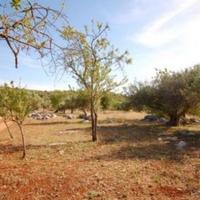 Вилла в Португалии, Албуфейра