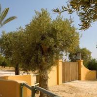 Villa in Portugal, Albufeira