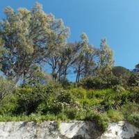 Other commercial property in Portugal, Albufeira