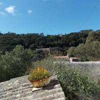 Other commercial property in Portugal, Albufeira