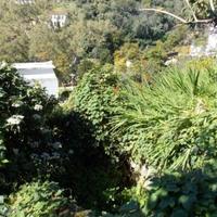 Other commercial property in Portugal, Albufeira