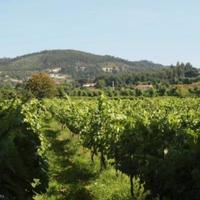 Другая коммерческая недвижимость в Португалии, Албуфейра