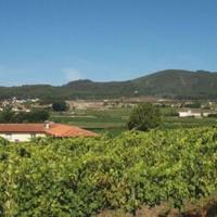 Другая коммерческая недвижимость в Португалии, Албуфейра