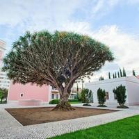 Вилла в Португалии, Албуфейра