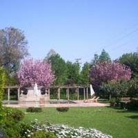 Другая коммерческая недвижимость в Португалии, Албуфейра