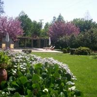 Другая коммерческая недвижимость в Португалии, Албуфейра