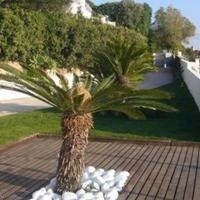 Villa in Portugal, Albufeira