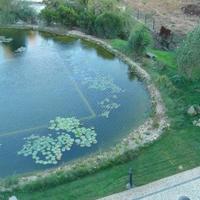 Квартира в Португалии, Албуфейра