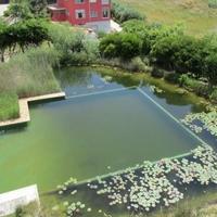 Квартира в Португалии, Албуфейра